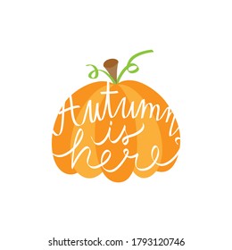 Autumn is here pumpkin vector illustration. Hand drawn fall pumpkin vegetable and autumn quote, handwritten. Isolated.