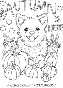 Autumn is here with puppy and pumpkins. Doodles art for greeting cards, invitations, or posters. Coloring book for adult and kids.