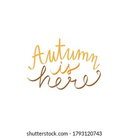 Autumn is here vector illustration writing. Handwritten fall quote in orange and brown colors. Isolated.