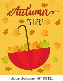 Autumn is here. Vector poster with autumn leaves and umbrella