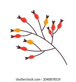 Autumn Hips. Briar. Berries. Harvest. Bounty Of Nature Fall. Logo, Icon. Isolated Vector Stock Illustration EPS 10