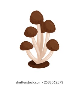 Autumn honey fungus. Vector illustration of brown mushroom