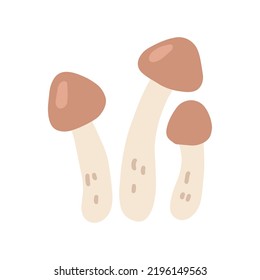 Hongos miel de otoño, ilustración plana vectorial sobre fondo blanco.