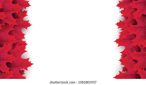 Autumn horizontal banner with beautiful crimson maple leaves on white. Season decoration - Vector