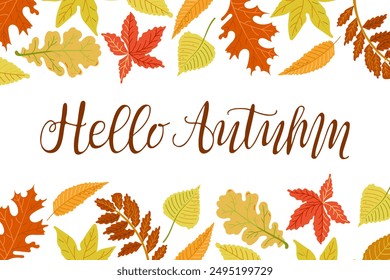 Autumn horizontal banner with colored leaves and calligraphic lettering Hello Autumn. Hand drawn flat style. Simple botanical illustration. Vector clipart of drawings isolated on white background