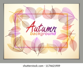 Autumn horizontal banner design, vector yellow and red leaves floral beautiful background, Autumn Sale, advertising poster, brochure or flyer design. Stylish classy botanical drawing, environment.
