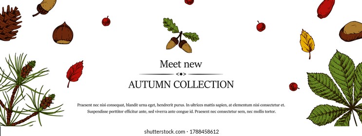 Autumn horizontal banner with hand drawn leaves, pinecone, evergreen branch, acorn and berries isolated on white. Space for text. Vector illustration in colored sketch style.