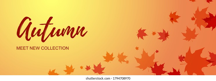 Autumn horizontal banner with maple leaves. Place for text. Vector illustration