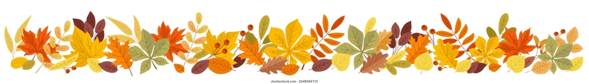 Autumn horizontal border with orange, yellow, green leaves and branches of red berry isolated on white background. Autumn seasonal background with colored leaves