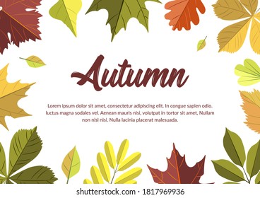 Autumn horizontal design with colorful falling leaves. Place for text. Vector illustration