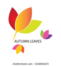 autumn icon logo vector design