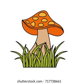 autumn icon mushroom in grass nature symbol