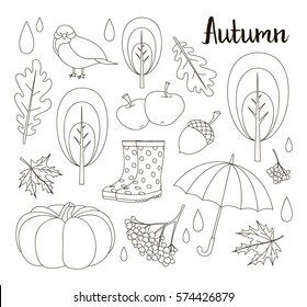 Autumn icon and objects set of leaf, nut, pumpkin, wheat, cloves, hazelnut, walnut, acorn. Vector engraved objects Detailed botanical illustrations