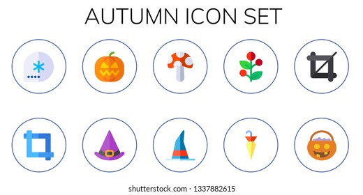 autumn icon set. 10 flat autumn icons.  Collection Of - winter, crop, pumpkin, witch hat, mushroom, witch, holly, umbrella, trick or treat
