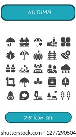  autumn icon set. 25 filled autumn icons. Simple modern icons about  - Umbrella, Wheat, Oktoberfest, Mozy, Leaf, Pumpkin, Forest, Dirndl, Rain, Crop, Butternut squash, Fall, Park