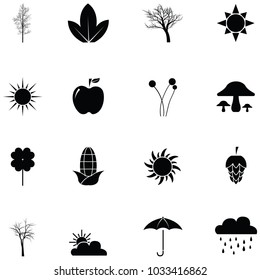 autumn icon set