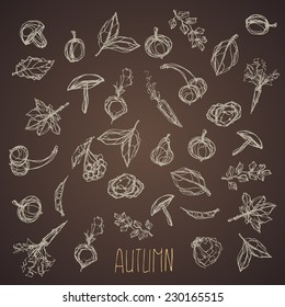 autumn icon set