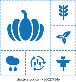 Autumn icon. set of 6 autumn filled icons such as harvest, scarecrow, pumpkin, leaf, rain