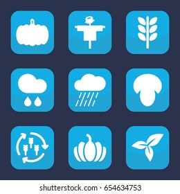 Autumn icon. set of 9 filled autumn icons such as harvest, mushroom, pumpkin, scarecrow, rain, leaf