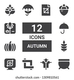 autumn icon set. Collection of 12 filled autumn icons included Cauldron, Scarecrow, Crop, Wheat, Pumpkin, Umbrella, Acorn, Coat, Hop