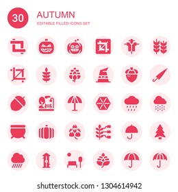 autumn icon set. Collection of 30 filled autumn icons included Crop, Pumpkin, Scarecrow, Wheat, Hop, Witch hat, Acorn, Park, Umbrella, Rain, Cauldron, Pine, Free fall, Wet protect