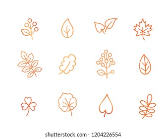 Autumn icon set. Fall leaves and berries. Nature symbol line art collection isolated on white background. 