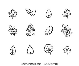 Autumn icon set. Fall leaves and berries. Nature symbol line art collection isolated on white background. 