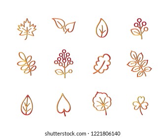 Autumn icon set. Fall leaves and berries. Nature symbol line art collection isolated on white background. 