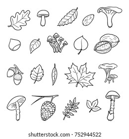 Autumn icon set with leaves and nuts