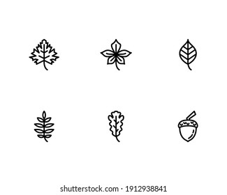 Autumn Icon Set With Autumn Leaves, Oak Nuts, Acorn Icon