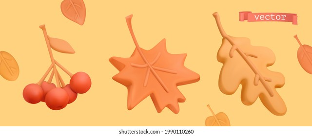 Autumn icon set. Red rowan, orange maple leaf, yellow oak leaf. 3d vector plasticine art objects svg