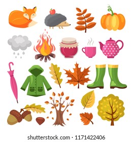 Autumn icon set. Various symbols of autumn. Vector pumpkin and boots, jam and hedgehog illustration