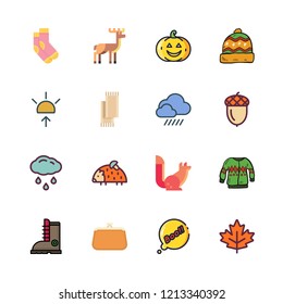 autumn icon set. vector set about acorn, purse, hedgehog and sweater icons set.