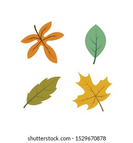 autumn icon  vector template ilustration design