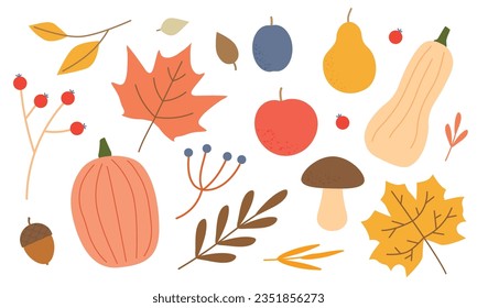 autumn icons collection: pumpkin, leaves, apple, pear, plum, acorn, berries, musroom and others floral elements- vector illustration