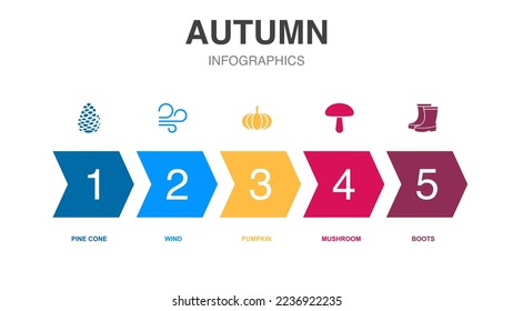 autumn icons Infographic design template. Creative concept with 5 steps