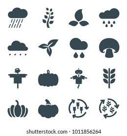 Autumn icons. set of 16 editable filled autumn icons such as harvest, pumpkin, scarecrow, wheat, rain, leaf