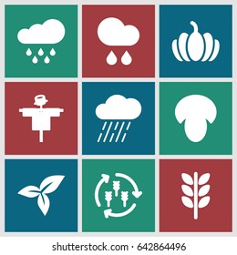 Autumn icons set. set of 9 autumn filled icons such as harvest, mushroom, scarecrow, rain, pumpkin, leaf
