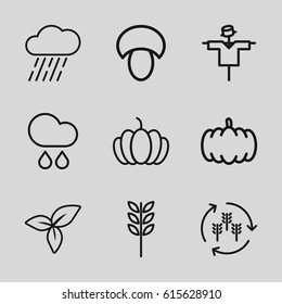 Autumn icons set. set of 9 autumn outline icons such as harvest, mushroom, pumpkin, scarecrow, rain, leaf
