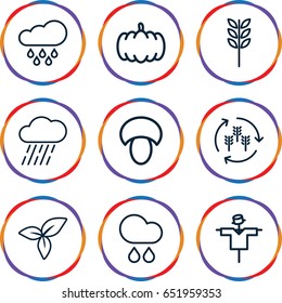 Autumn icons set. set of 9 autumn outline icons such as harvest, mushroom, pumpkin, scarecrow, rain, leaf
