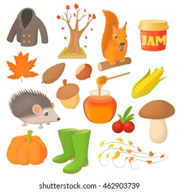 Autumn icons set in cartoon style. Autumn elements set collection vector illustration