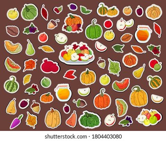Autumn icons set. Hand drawn autumn decoration elements collection. Happy Thanksgiving sticker harvest. Apples, berries, pumpkin, autumn leaves fall, honey, acorn. Thanksgiving stickers collection.