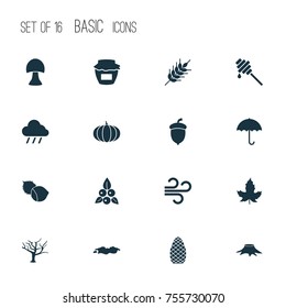 Autumn Icons Set. Includes Icons Such As Timber, Gingham, Champignon And Other.