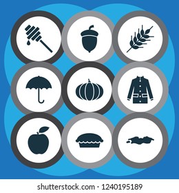 Autumn icons set with puddle, umbrella, wheat and other tart elements. Isolated vector illustration autumn icons.