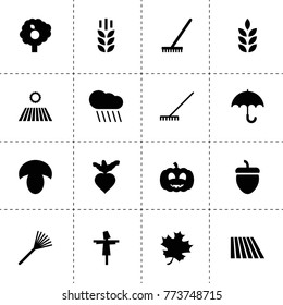 Autumn icons. vector collection filled autumn icons. includes symbols such as wheat, field, rain, rake, mushroom, beet, scarecrow. use for web, mobile and ui design.