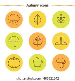 Autumn icons. Vector. Outline.
