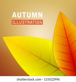 Autumn illustration