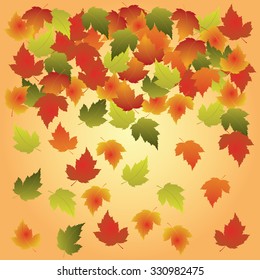 Autumn illustration