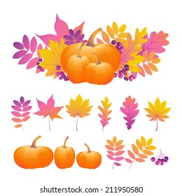 Autumn illustration. Background with pumpkins.Vector set.