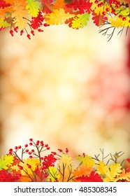 Autumn illustration. Border made of colorful oak leaves on bokeh
 background with space for text.